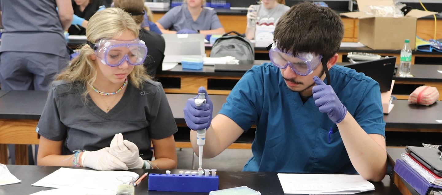 lab
